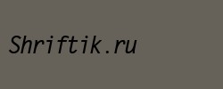 Letter Gothic Negrita Cursiva 